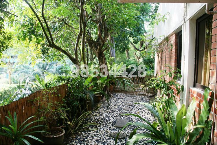 Pandan Valley (D21), Condominium #125842482
